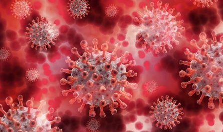 En apprendre plus sur le Coronavirus