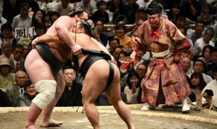 Le sumo