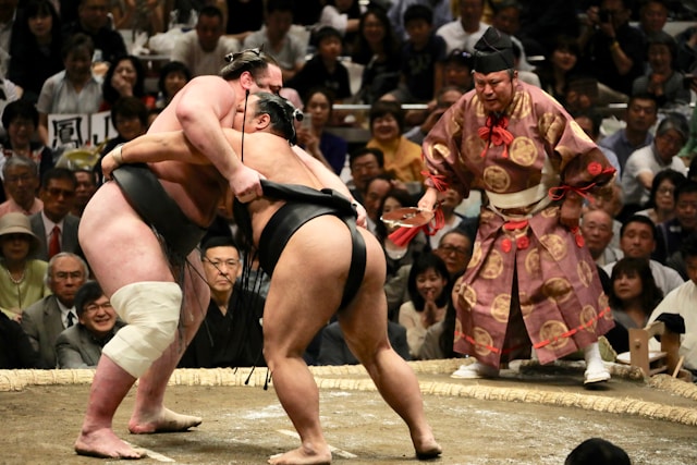 Le sumo