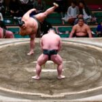 Sumo