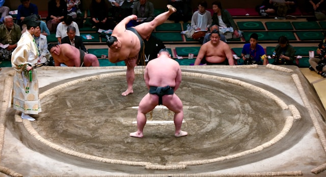 Sumo : plongée au cœur d’un sport millénaire chargé d’histoire