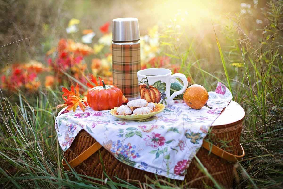 Table de pique-nique dressée en prairie avec thermos écossais, tasse décorée, potirons et biscuits, fleurs sauvages en arrière-plan