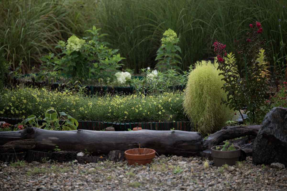 Jardin avec un tronc, un bol, des plantes et du gravier