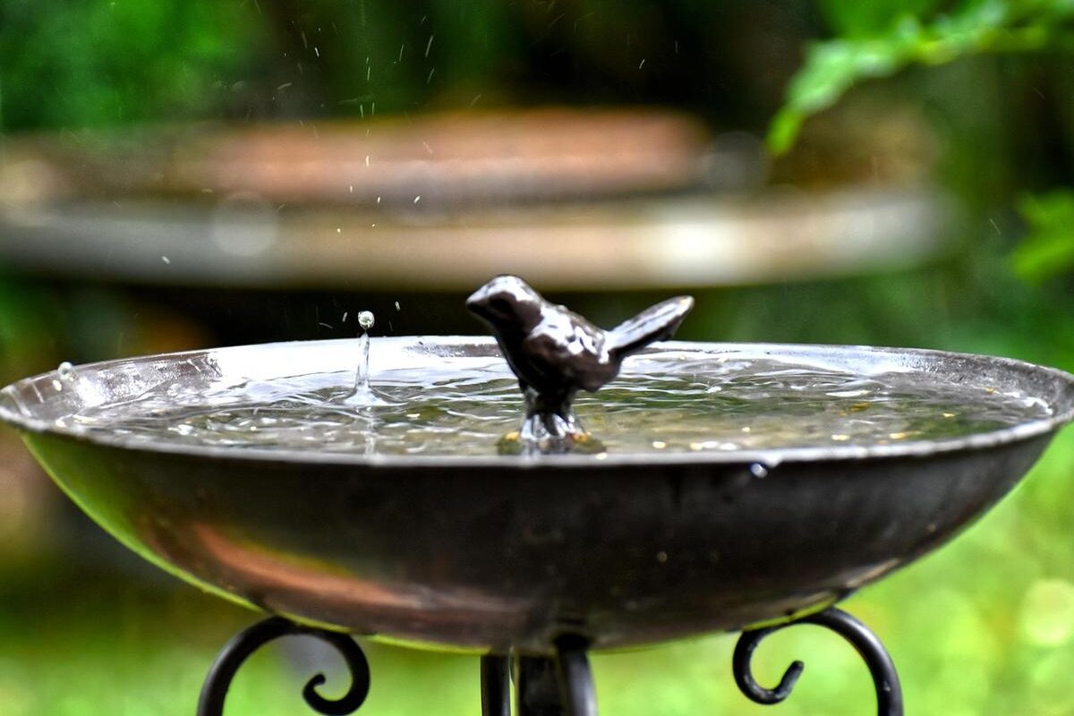 Un bassin à oiseaux en métal avec une statue de oiseau, gouttes d'eau