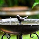 Un bassin à oiseaux en métal avec une statue de oiseau, gouttes d'eau