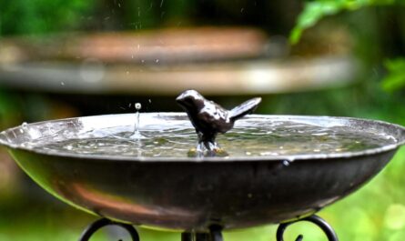Un bassin à oiseaux en métal avec une statue de oiseau, gouttes d'eau